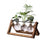 Lvdia Hydroponic Planter