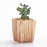 Mini Striped Succulent Flower Pots